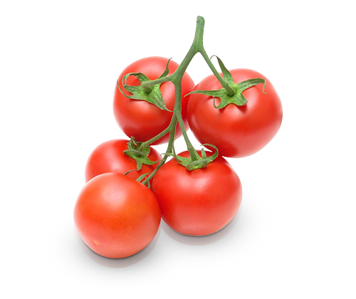 tomatoes