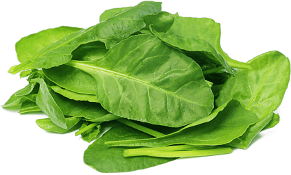 Spinach